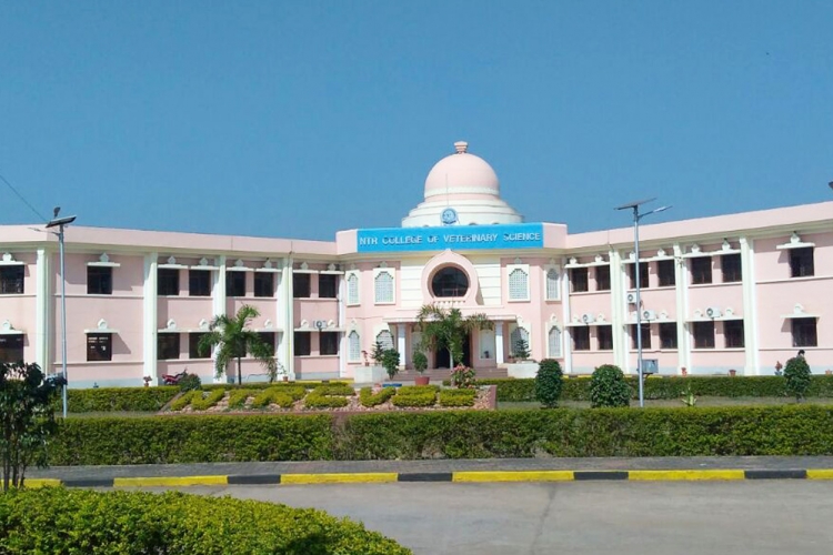 College Campus